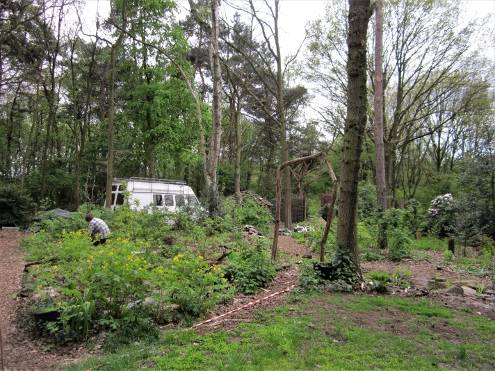 Het arme dennenbos wil en kan meer – hoe we dennenakkers kunnen omvormen