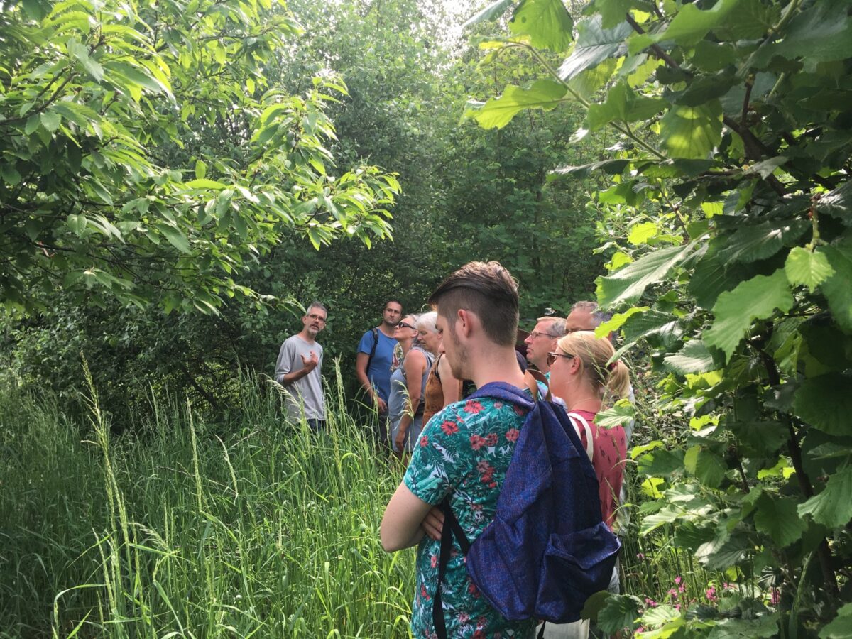 Tien tips om een voedselbos aan te leggen