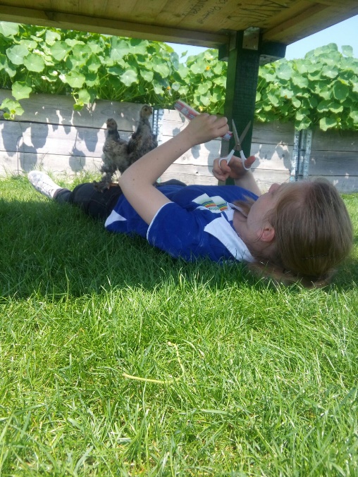 Hoe ontwerp je een voedselbos?