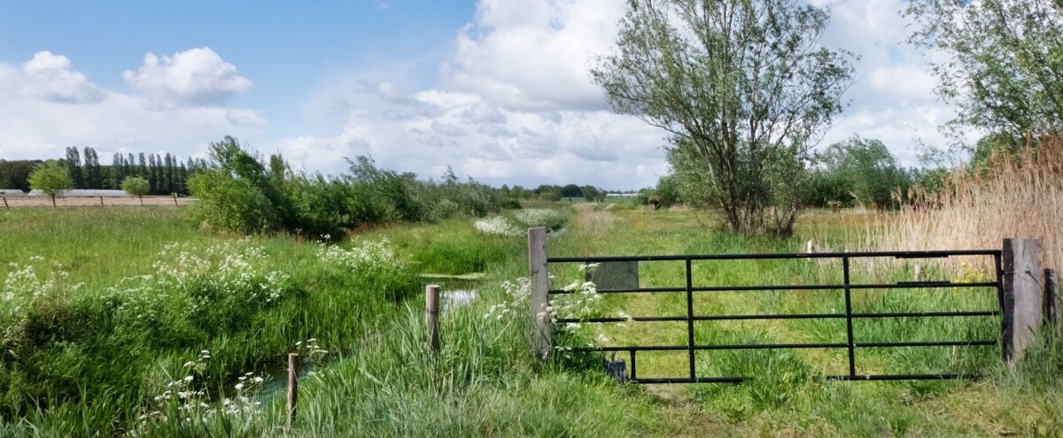 Rapport ‘Volksgezondheid en veehouderij: alles op een rij’