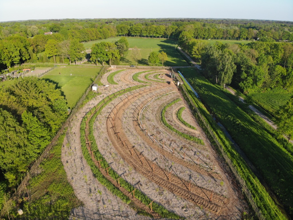 Cursus agroforestry- en voedselbossen in Drimmelen