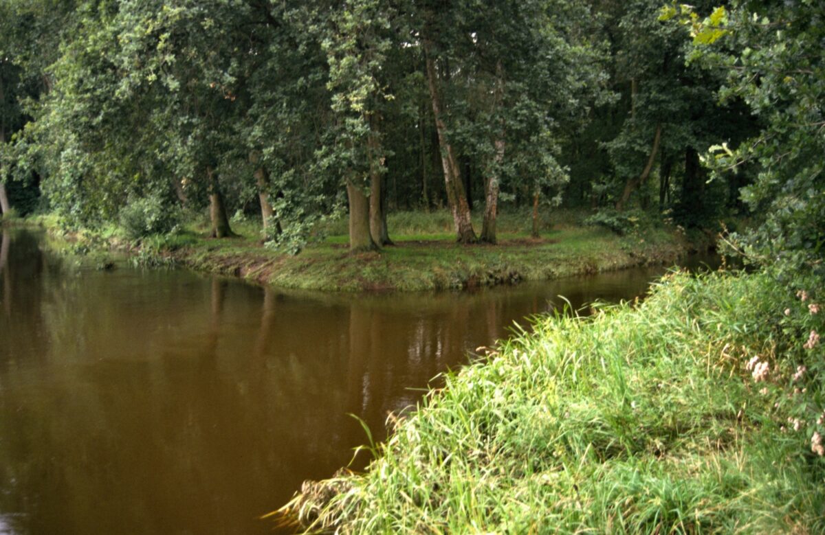 Tussenuitspraak over beroep aanleg N69