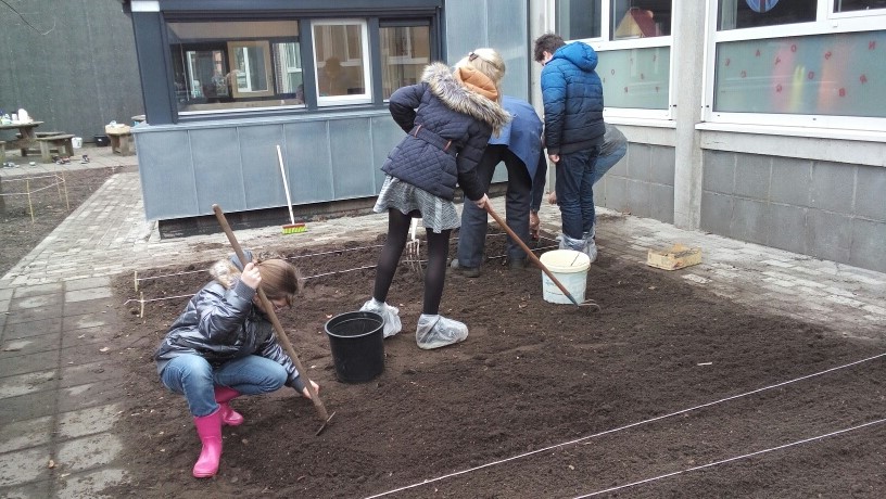 Project Moestuin bij de Willibrordusschool in Diessen