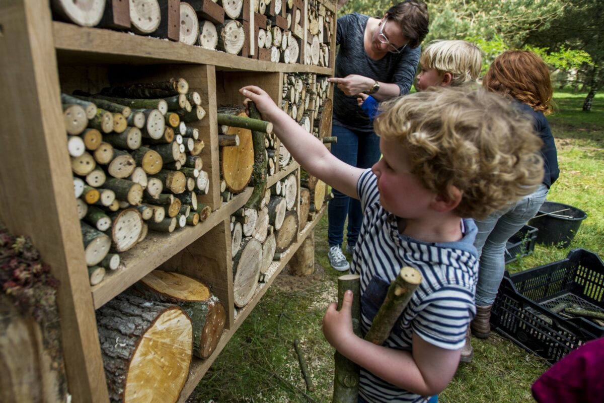 Bijenhotels voor chemievrij beheer