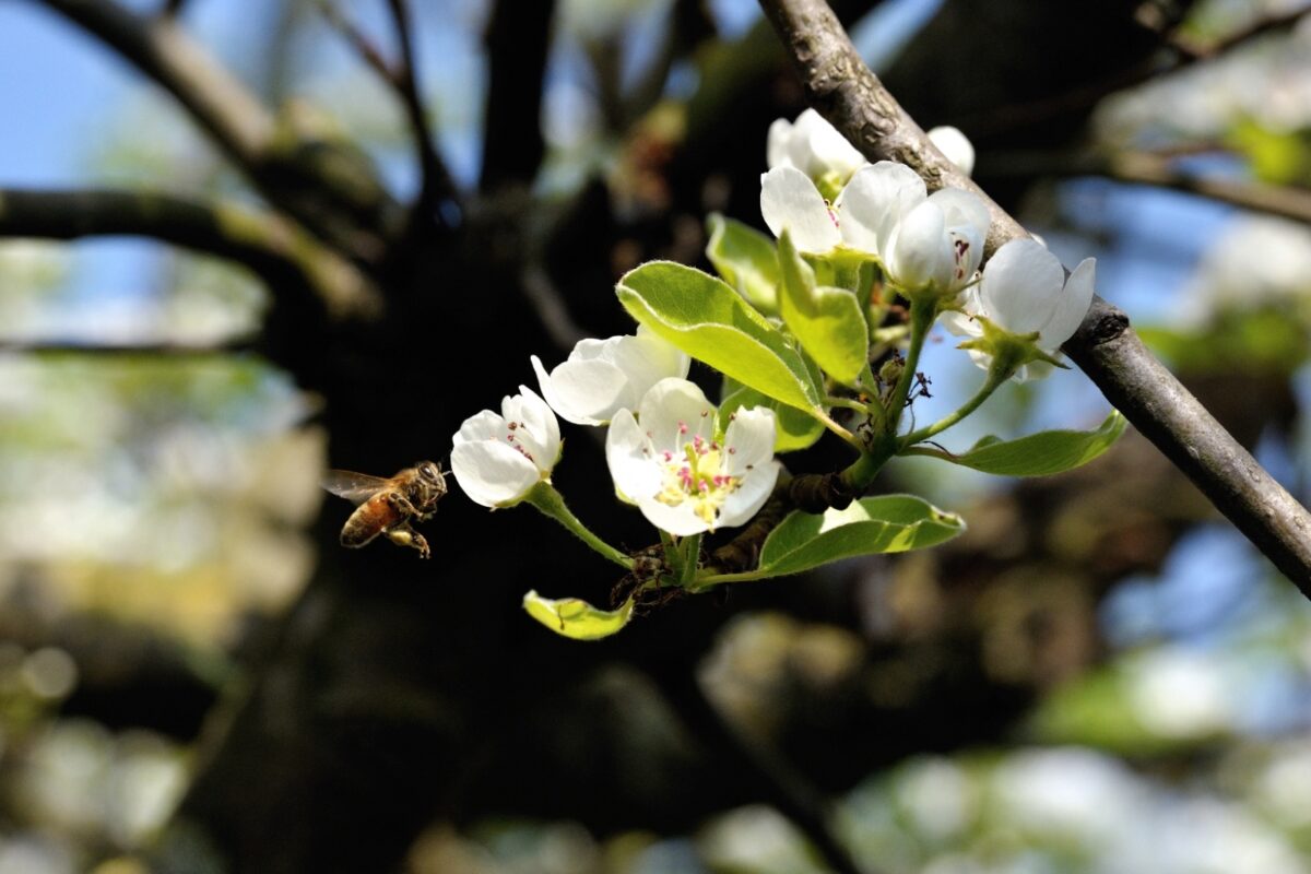 Houd jij rekening met hoe je eten is geproduceerd?
