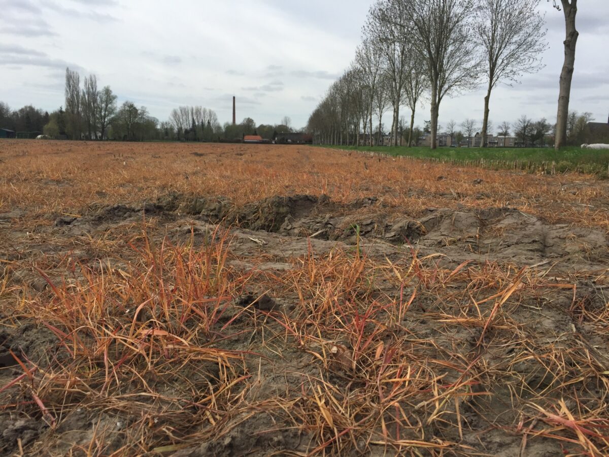 Politiek zwicht voor giftige lobby