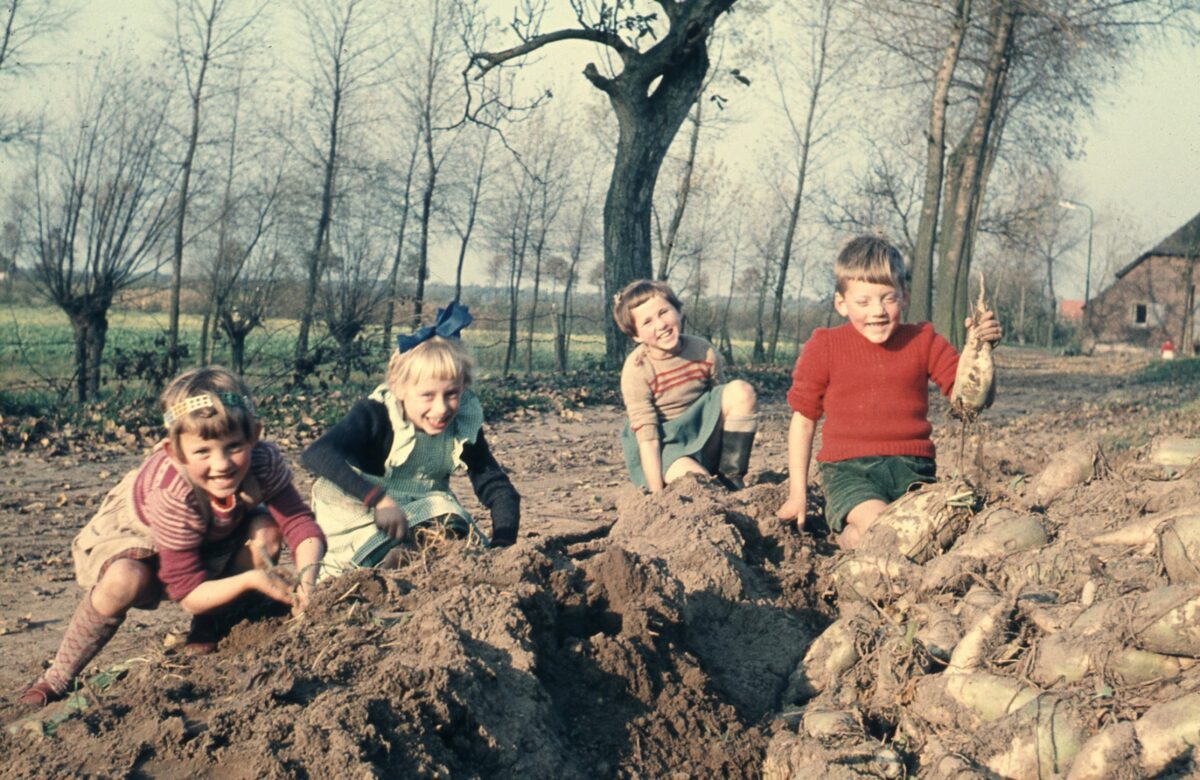 Brabantse landschappen in jouw Brabant, mijn Brabant
