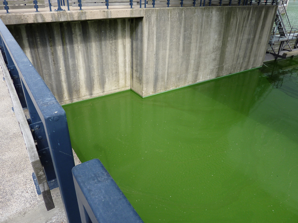 Ons Brabantse water: waterkwaliteit, stront aan de knikker?