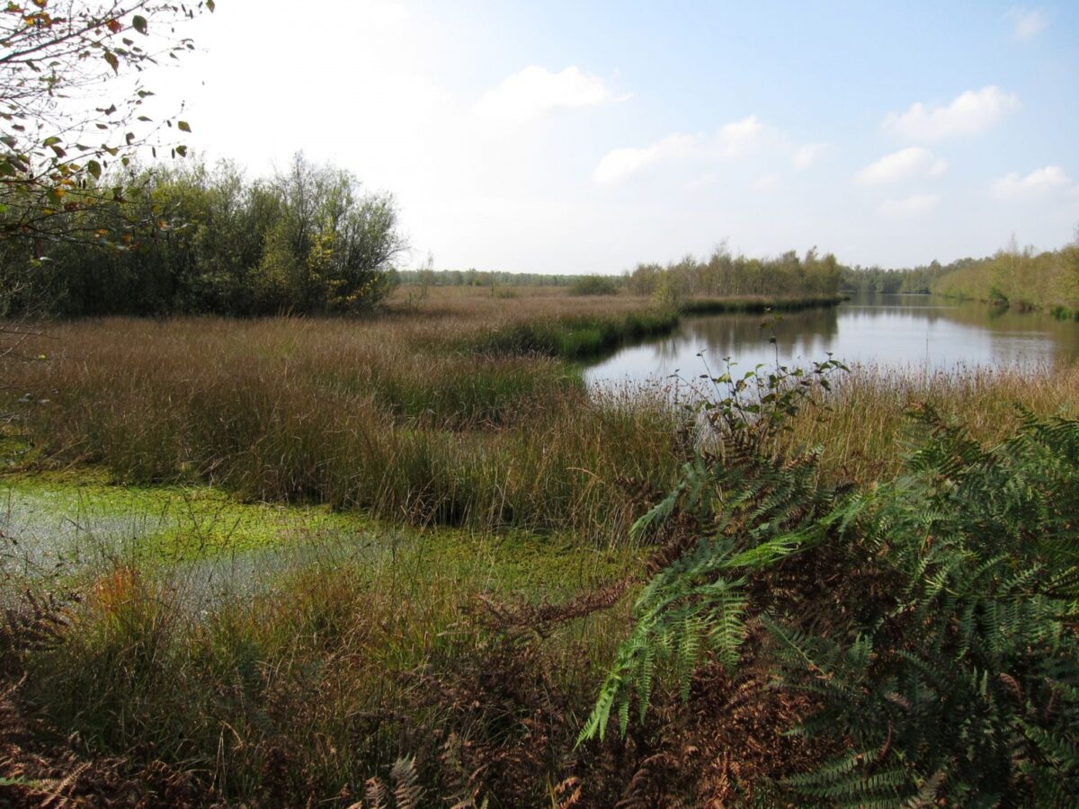 Na de zomer bijeenkomst over PAS-uitspraak