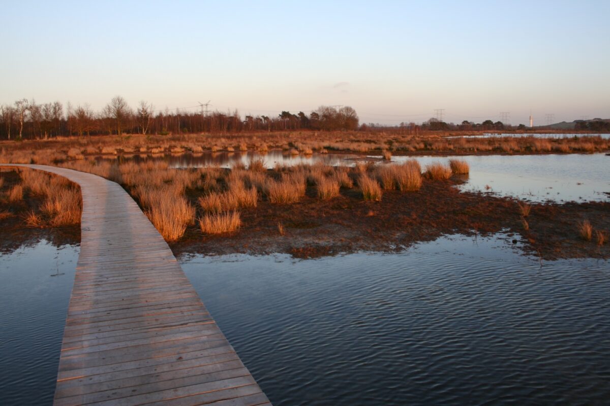 Natuurbegraafplaatsen binnen de Ecologische Hoofdstructuur?