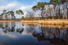 Geen megastal bij natuurgebied Kampina, gemeente kiest voor natuur!
