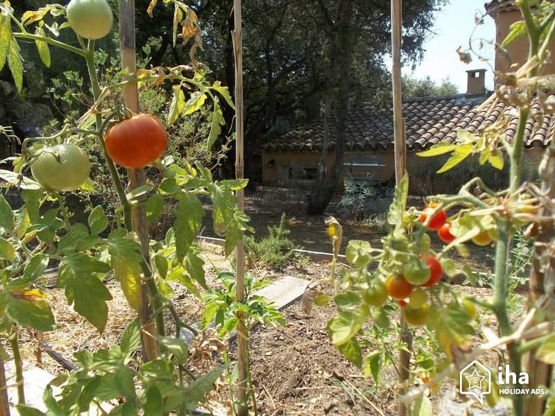 Opleiding docent Ecologisch Moestuinieren