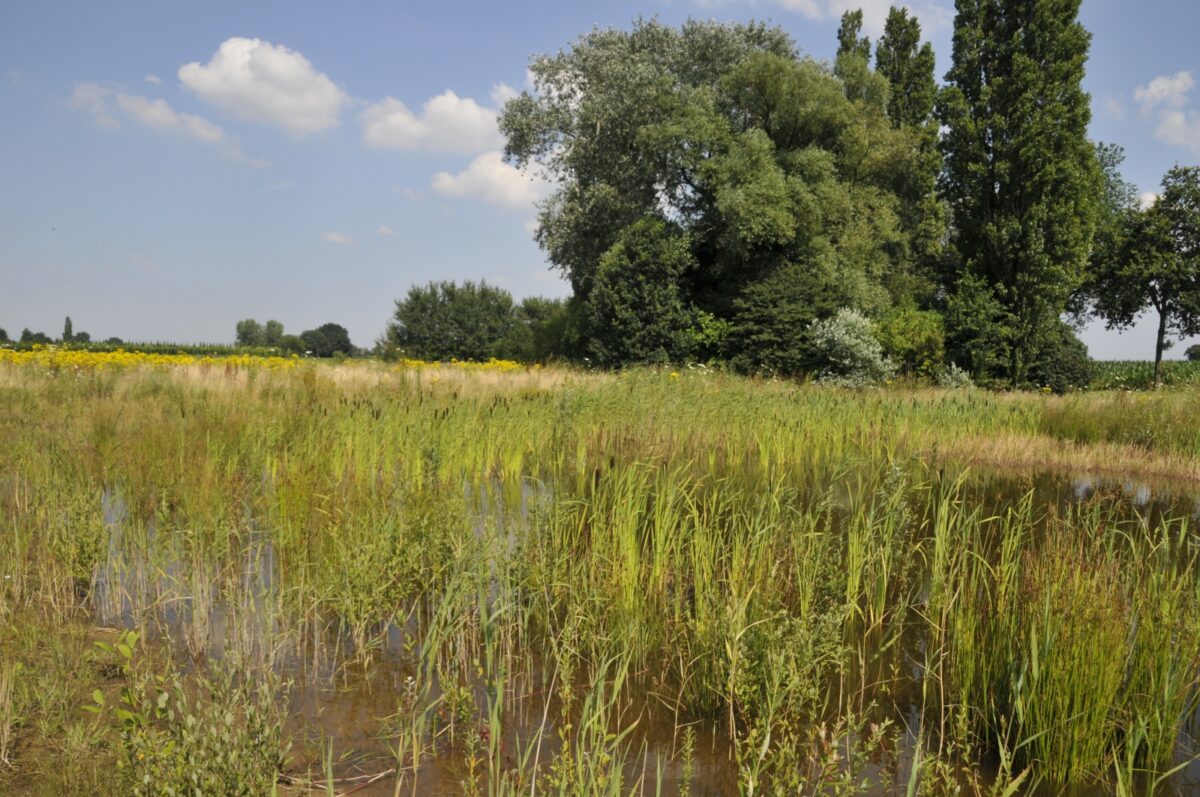 Feestelijke opening ommetje Nieuwe Warande