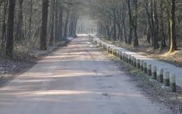 BMF spreekt zich uit tegen verharding Roovertse dijk