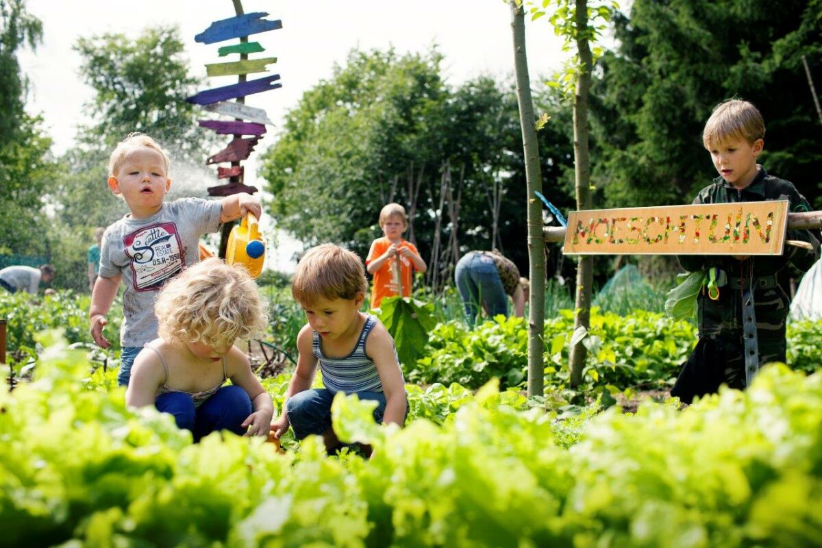 Samentuinen gezocht in Brabant