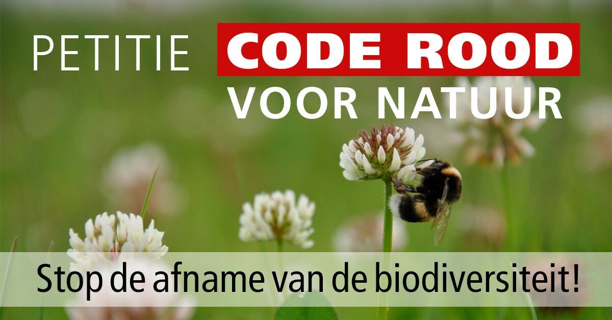 Het is alarmfase 'rood' voor natuur en biodiversiteit in Nederland