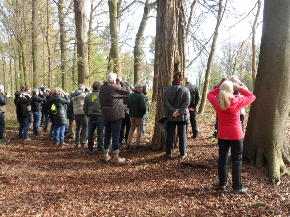 Natuurgroep Gestel geeft Basiscursus Groen