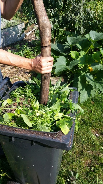 Bokashi-project mede mogelijk gemaakt door BMF Activiteitenfonds