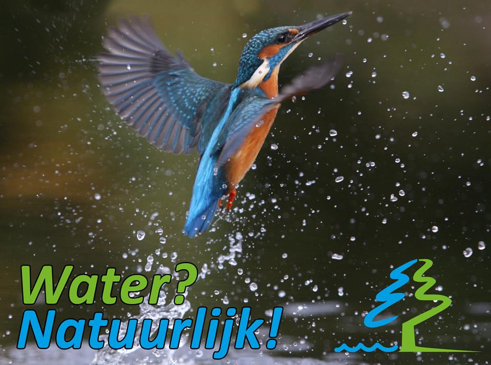 Water Natuurlijk zoekt kandidaten bestuur waterschap