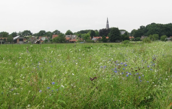 Gezamenlijke aanpak voor herstel van biodiversiteit op platteland