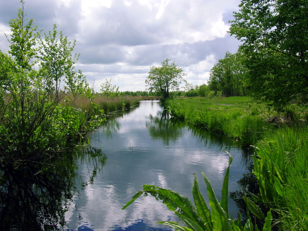 Natuur en Milieufederaties leveren significante bijdrage aan schone, gezonde en duurzame provincies