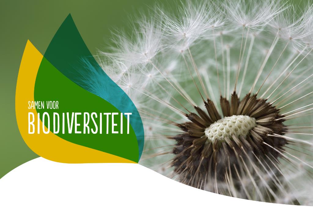 Deltaplan voor biodiversiteit: samen natuurverlies ombuigen naar herstel