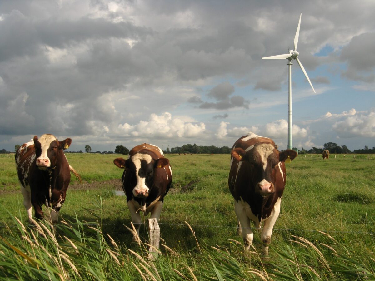 Gedragscode draagvlak en participatie wind op land geëvalueerd