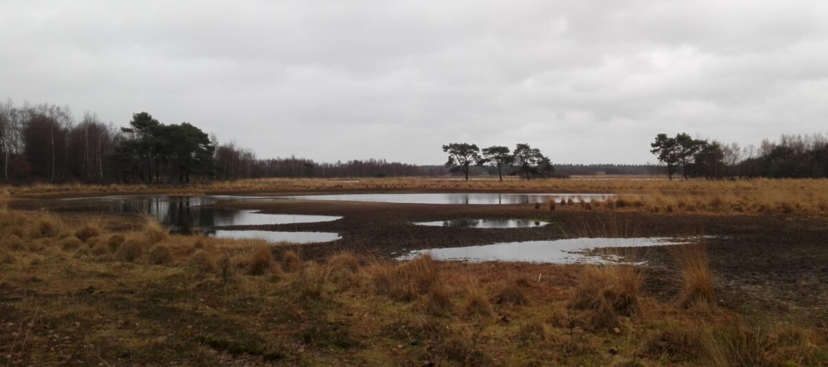 Opinie | Grondwater is niet onuitputtelijk!