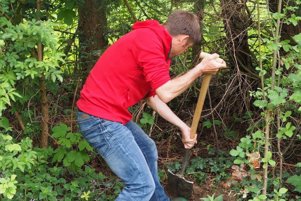 HAS-studenten starten meerjarig onderzoek voedselbossen