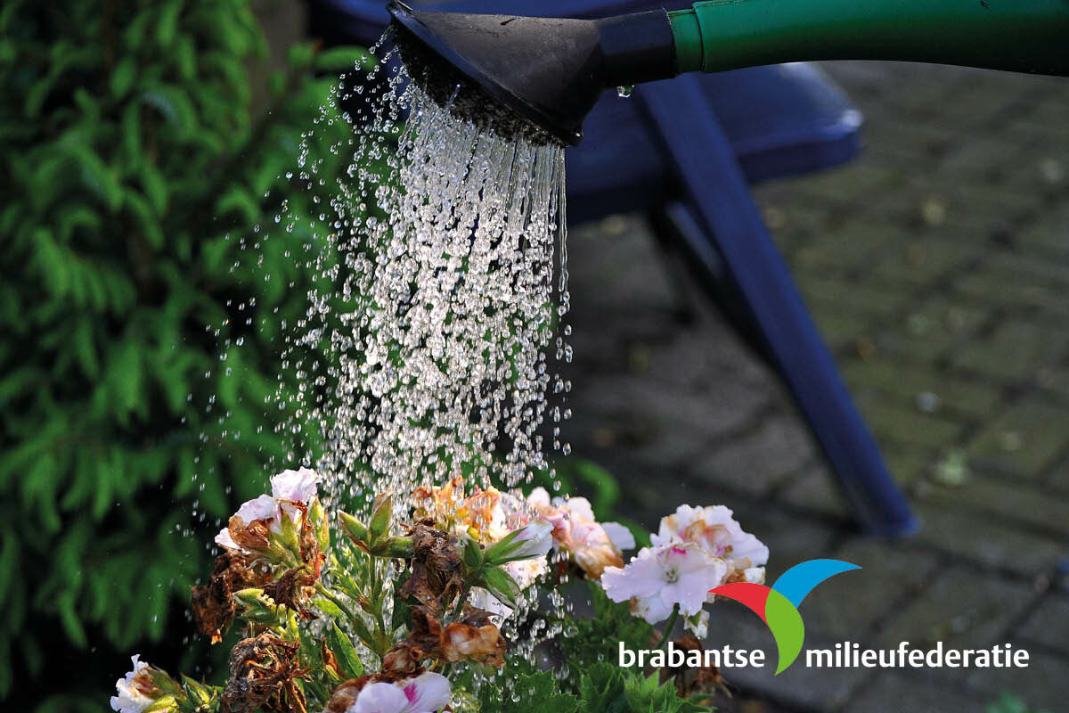 Maak van jouw wijk een koele, groene oase