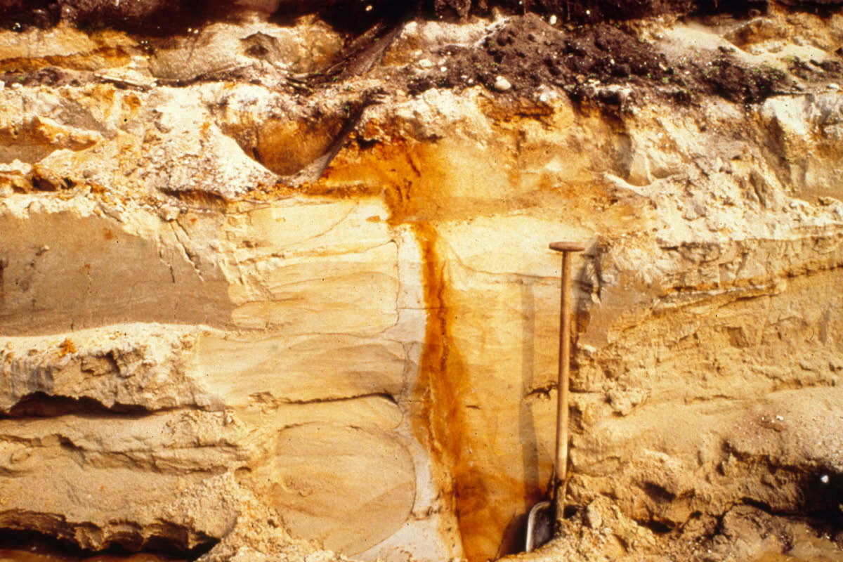 Brabant en zijn breuken: de sleutel tot een duurzaam watersysteem
