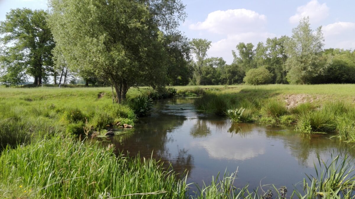 De Europese Waterwet blijft!