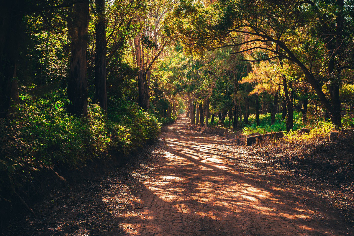 15 september | Bescherming zandpaden