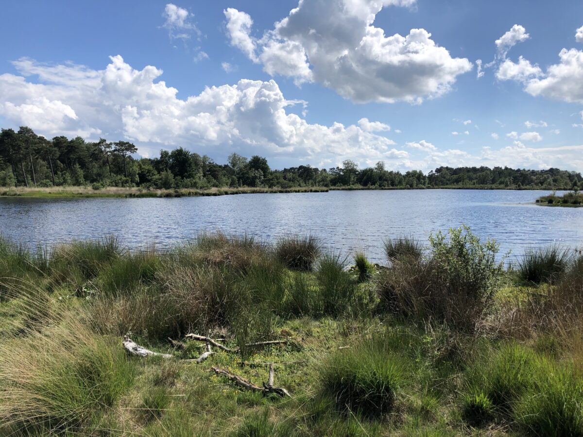 Favoriete wandelgebieden van BMF