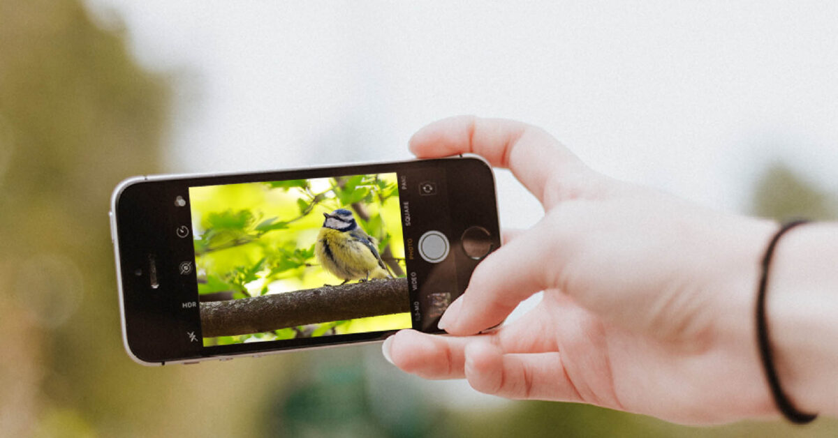 Blijf thuis en doe mee met de #natuurdichtbij fotochallenge