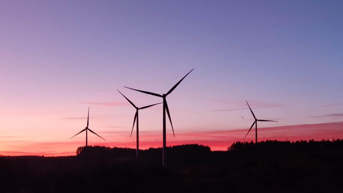 BMF in hoger beroep tegen windpark in Bladel