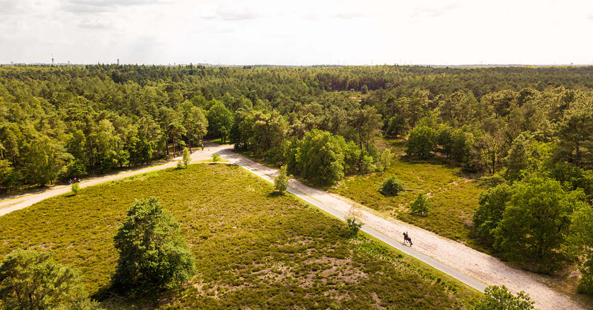 Natuur & Landschap