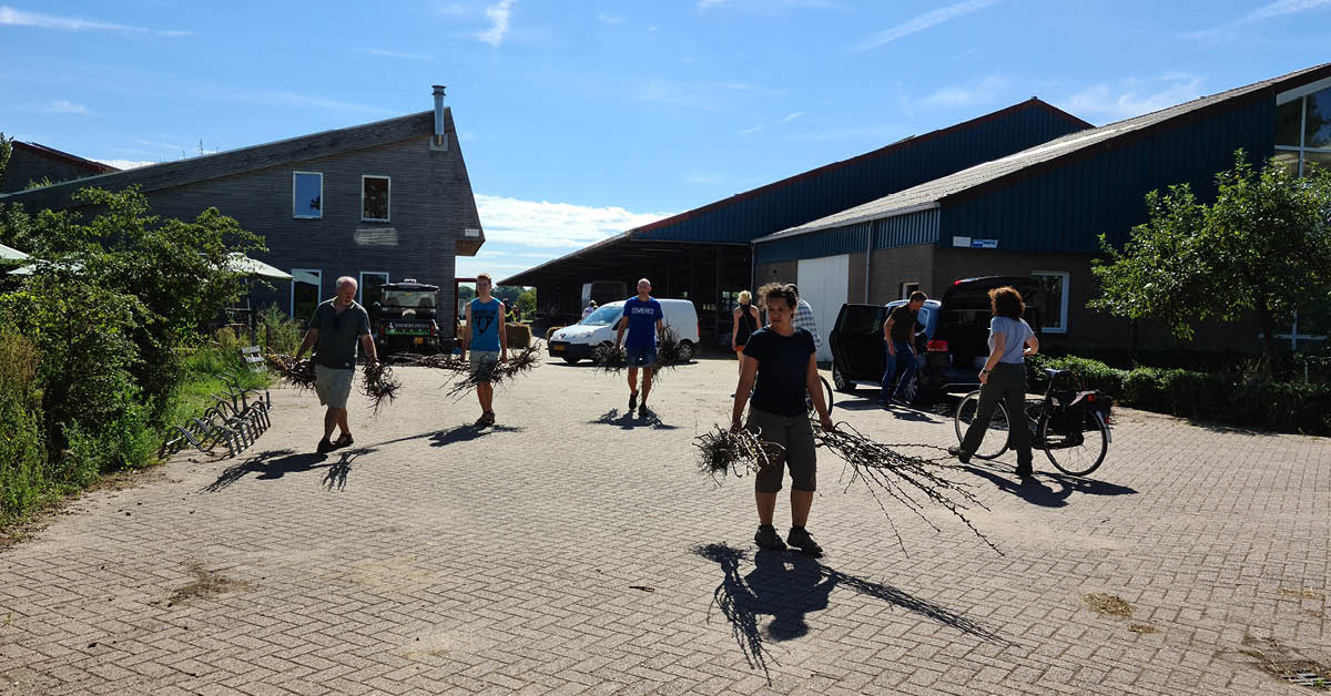 Video | Gratis perenbomen uitdelen blijkt gigantische succes!