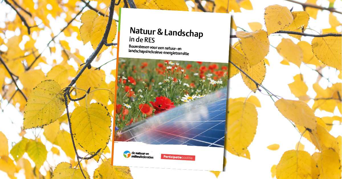 Publicatie | Natuur & landschap in de RES