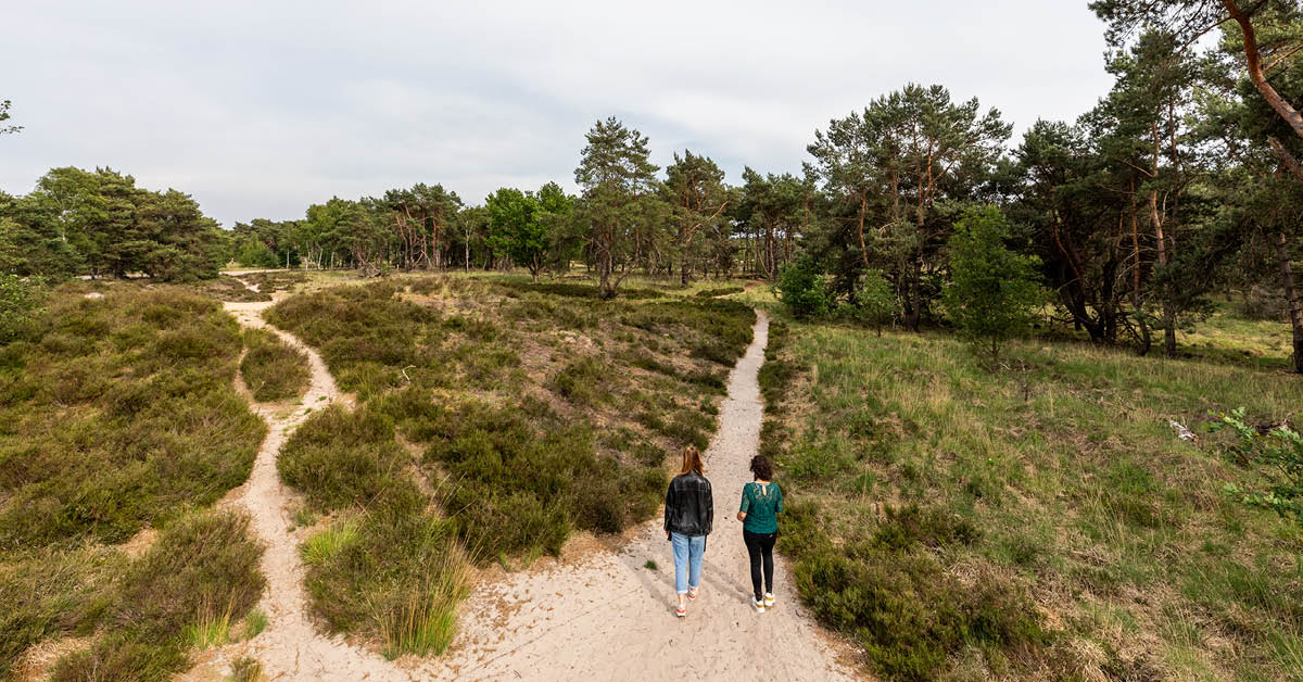 Aanbevelingen voor provincies over gebiedsgerichte aanpak stikstof