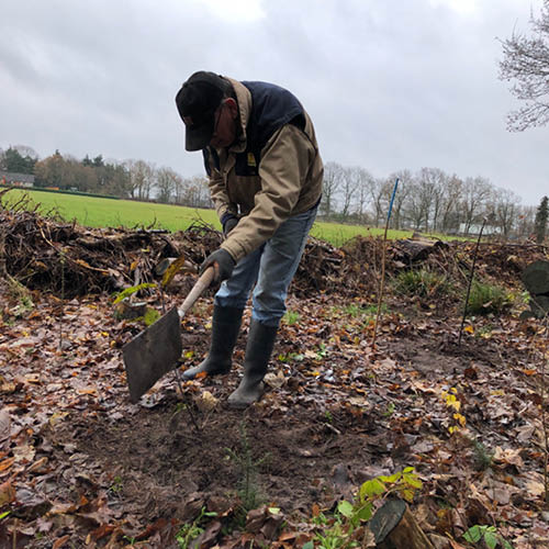 BMF Activiteitenfonds: Gezondere bossen in Rucphen