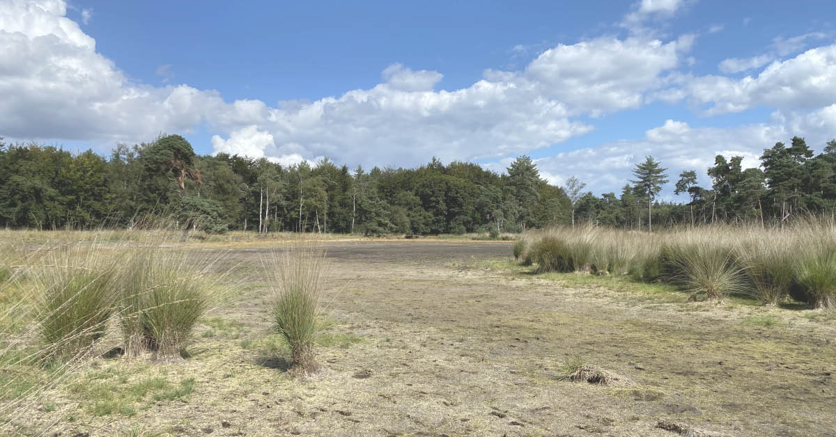 ‘Modern waterbeleid noodzakelijk om beregeningsverboden te voorkomen’