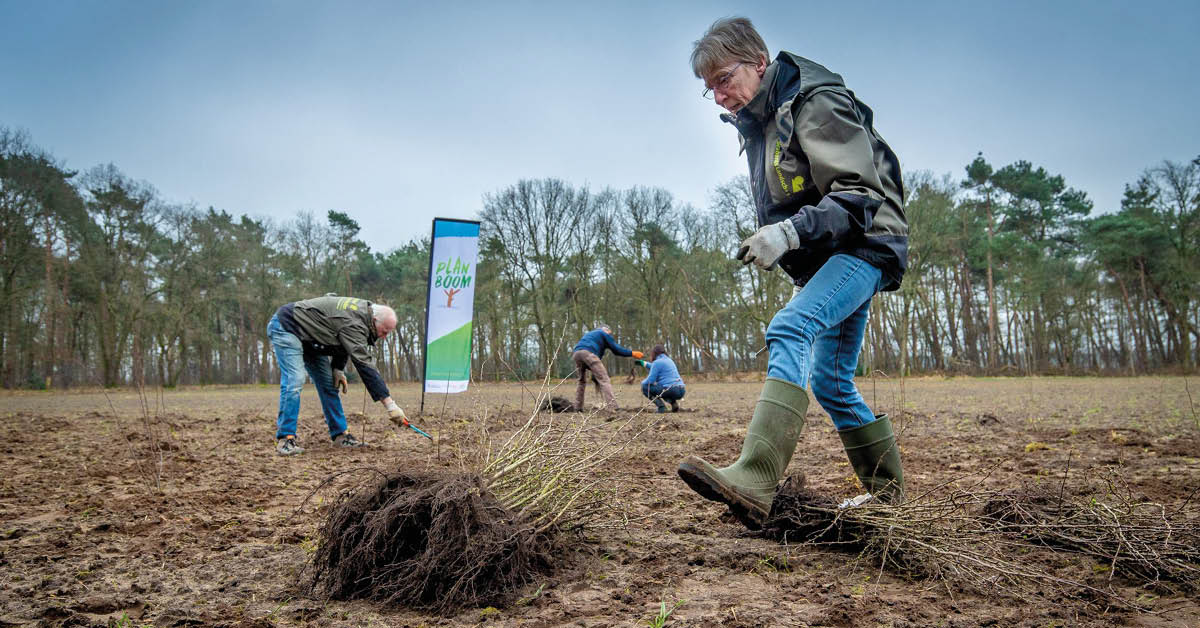 Groene vrijwilligers planten ruim 40 duizend bomen in Brabant