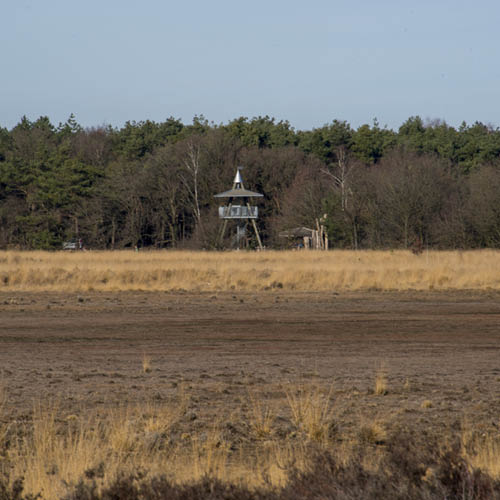 Natuur- en milieuorganisaties voorzichtig positief over waterbeheerplannen