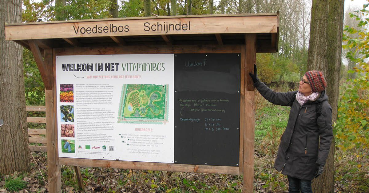 Vrijwilliger van het voedselbos in Schijndel bij een informatiebord.