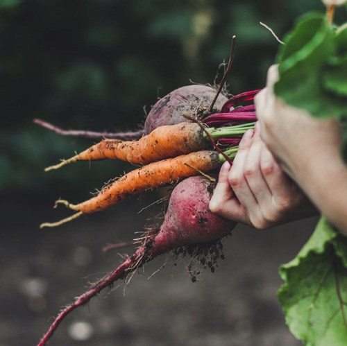 Input nieuw regeerakkoord: btw-verlaging AGF, accijns op frisdrank en vlees