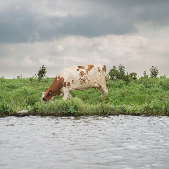 Natuur en Milieufederaties blij met voorstel voor gezamenlijke aanpak stikstof