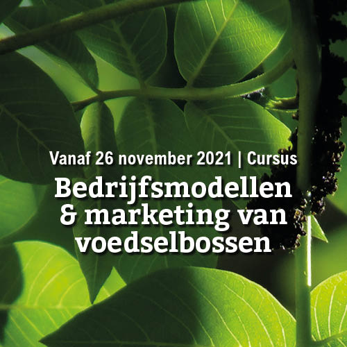 Vanaf 26 november | Bedrijfsmodellen en marketing van voedselbossen
