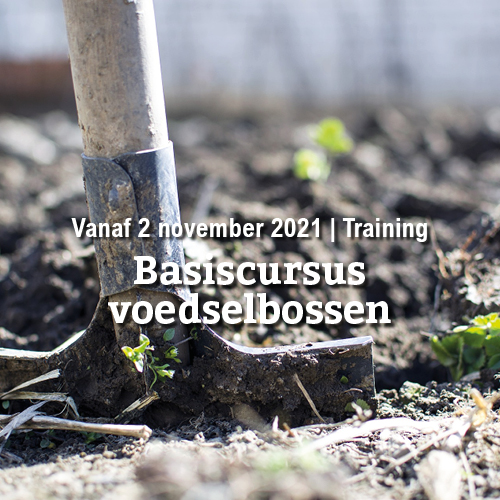 Vanaf 2 november | Basiscursus voedselbossen