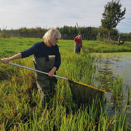 Oeverlopers: Samen op onderzoek voor schone beken